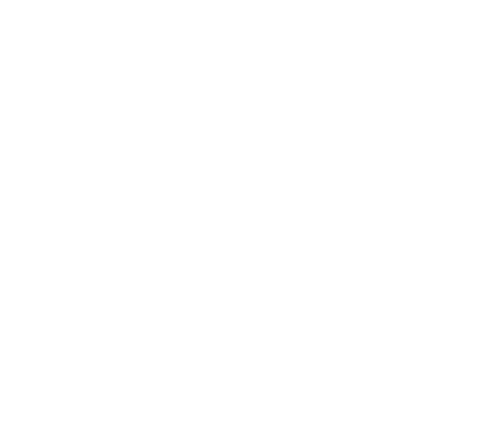 OTTIMIZZAZIONE-image